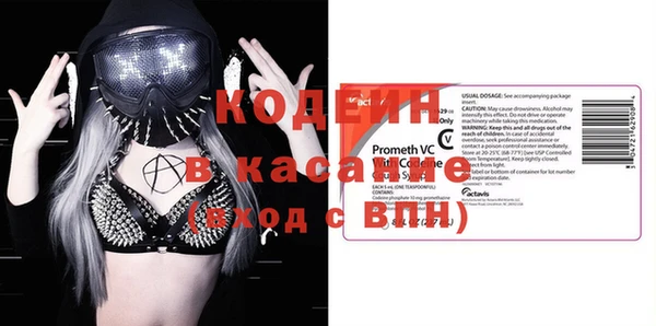 шишки Ельня