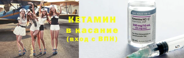 шишки Ельня