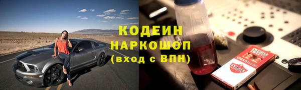 молекула духа Елабуга