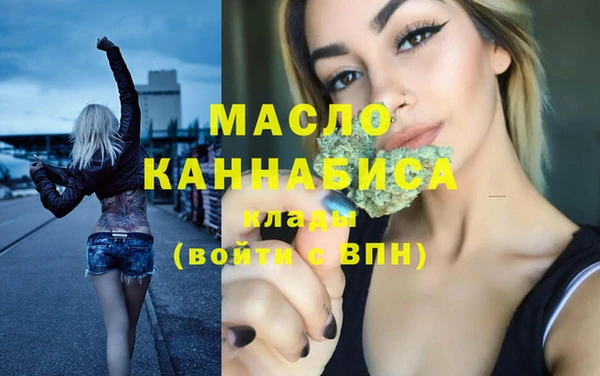молекула духа Елабуга