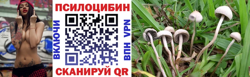 Псилоцибиновые грибы Psilocybe  KRAKEN tor  Жирновск 